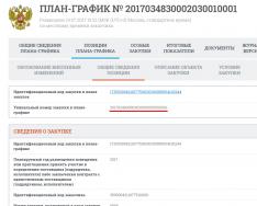 Error in OKPD2 in the procurement identification code